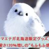 【シマエナガ北海道限定グッズ】は可愛さ120％増しの“もふもふ感”