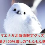 【シマエナガ北海道限定グッズ】は可愛さ120％増しの“もふもふ感”